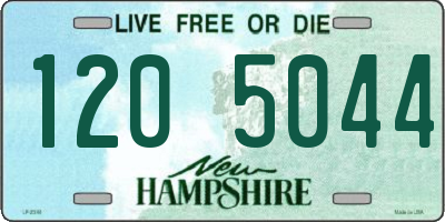 NH license plate 1205044