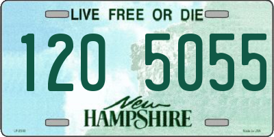 NH license plate 1205055
