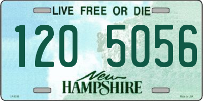 NH license plate 1205056