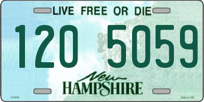 NH license plate 1205059