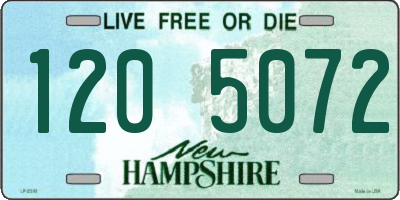 NH license plate 1205072