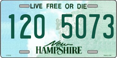 NH license plate 1205073