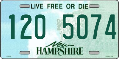 NH license plate 1205074