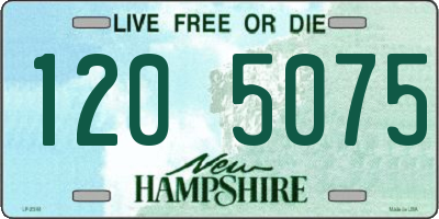 NH license plate 1205075