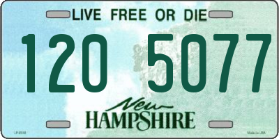 NH license plate 1205077
