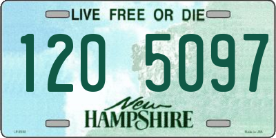 NH license plate 1205097