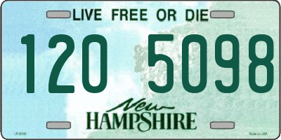 NH license plate 1205098