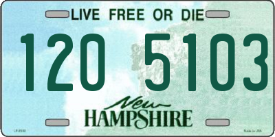 NH license plate 1205103