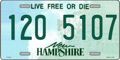 NH license plate 1205107