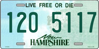 NH license plate 1205117