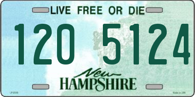 NH license plate 1205124