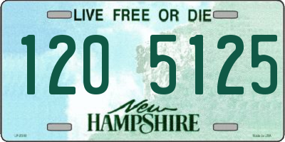 NH license plate 1205125