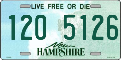 NH license plate 1205126