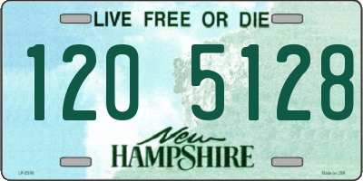 NH license plate 1205128