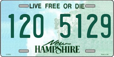 NH license plate 1205129