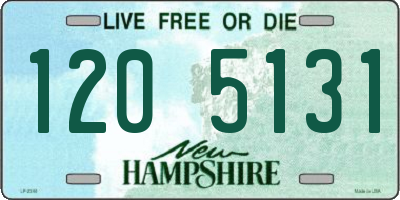 NH license plate 1205131