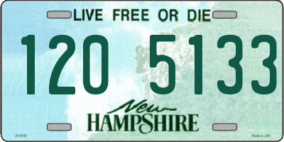 NH license plate 1205133