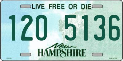 NH license plate 1205136