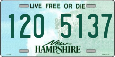 NH license plate 1205137