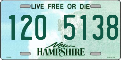 NH license plate 1205138