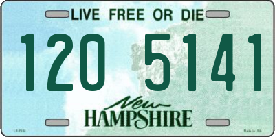 NH license plate 1205141