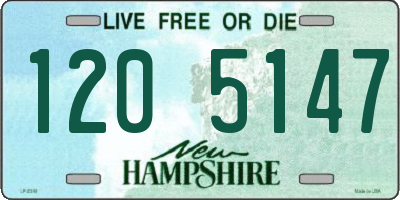 NH license plate 1205147