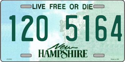 NH license plate 1205164