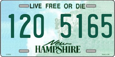 NH license plate 1205165