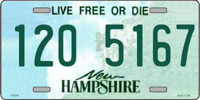 NH license plate 1205167