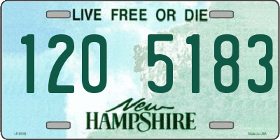 NH license plate 1205183