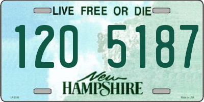 NH license plate 1205187