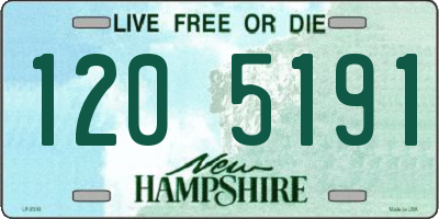 NH license plate 1205191