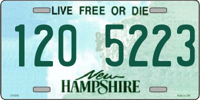 NH license plate 1205223