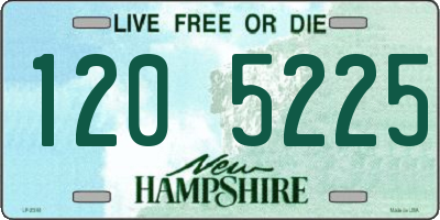 NH license plate 1205225