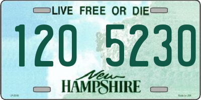 NH license plate 1205230