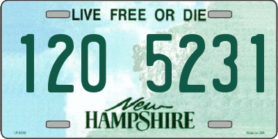 NH license plate 1205231