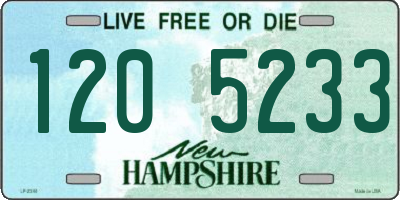 NH license plate 1205233