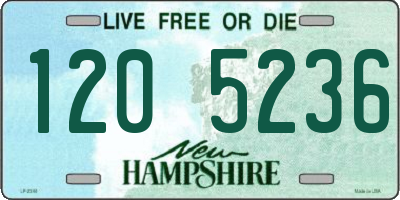 NH license plate 1205236
