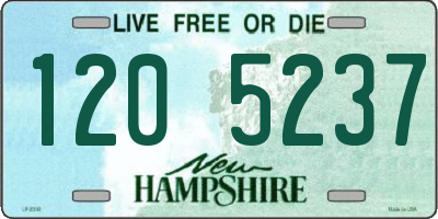 NH license plate 1205237