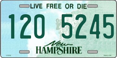 NH license plate 1205245