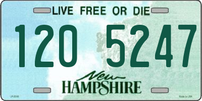 NH license plate 1205247