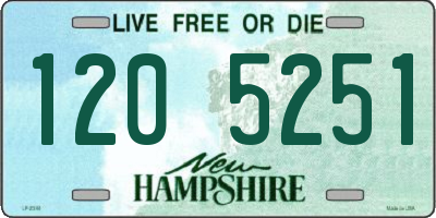 NH license plate 1205251