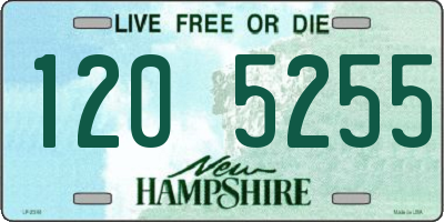 NH license plate 1205255
