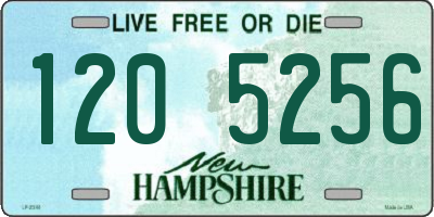 NH license plate 1205256
