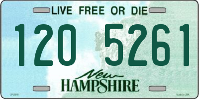 NH license plate 1205261