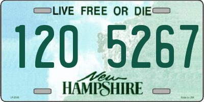 NH license plate 1205267
