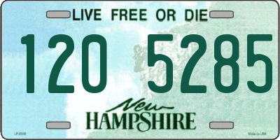 NH license plate 1205285