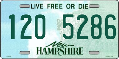 NH license plate 1205286