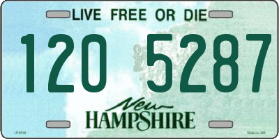 NH license plate 1205287