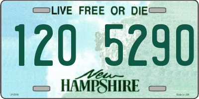 NH license plate 1205290